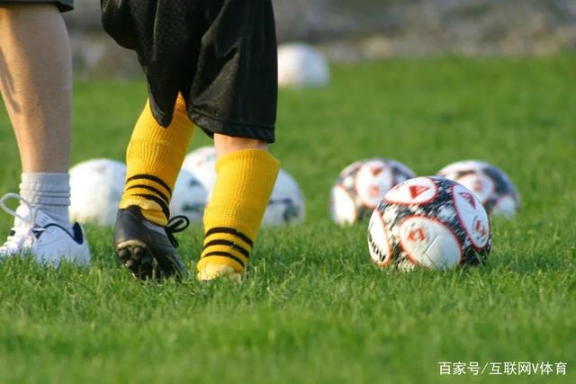 小村庄的柿子树带来万名游客的黄金季节
